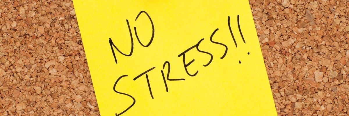 How to Be Productive Without the Stress
